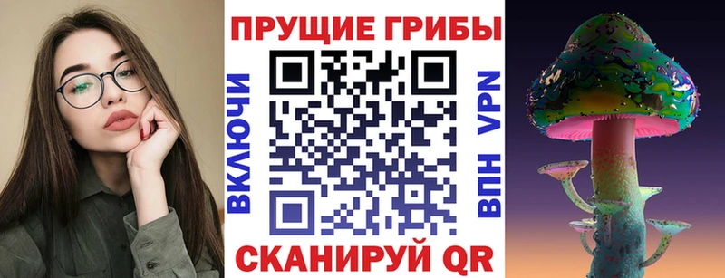 Псилоцибиновые грибы Cubensis Кочубеевское