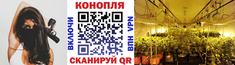 хочу   Кочубеевское  Каннабис план 